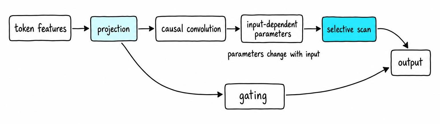 Mamba block flow showing projected token features split between input-dependent selective scan updates and gating before producing the output.